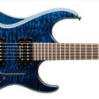 Washburn: X40