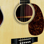 Martin: 000-16RGT