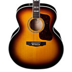 Guild: F-50