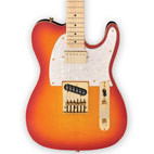 Jay Turser: JT-LTCUSTOMDLX
