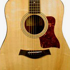 Taylor: 110