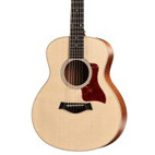 Taylor: GS Mini