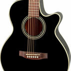 Takamine: EG260C