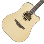 Takamine: ETN10BC