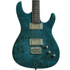 Fretlight Guitar: FG-561 Pro
