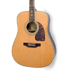 Epiphone: DR-500ME