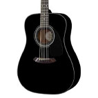 Fender: CD-110E