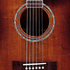 Ibanez: AW120CE