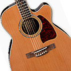 Ibanez: AC35CE
