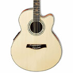 Ibanez: AEL40SE