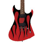 Washburn: DD60