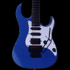 Washburn: MG40