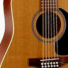 Seagull: Coastline S12 Cedar