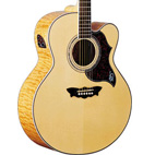 Washburn: Cumberland J28SCEDL