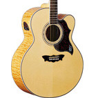 Washburn: Cumberland J28SCEDL