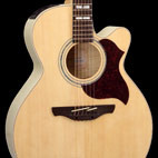 Takamine: EG543SC