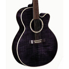 Takamine: EG540C