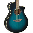 Yamaha: APX500II