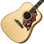 Gibson: Hummingbird Custom KOA