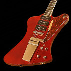 Gadow: Bird Custom
