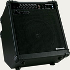 Ibanez: SW35