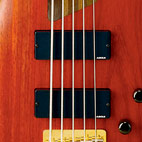 Ibanez: K5 Fieldy Signature Bass