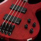 Ibanez btb700dx hotsell