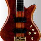 Schecter: Stiletto Studio-5