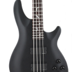 Schecter: Damian-4