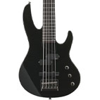 ESP: LTD B-55