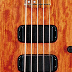 Washburn: XB925