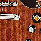 Epiphone: Vintage G-400