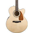 Fender: CJ-290SCE