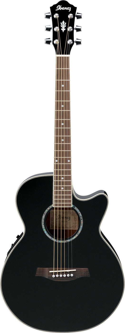 Ibanez aeg10e discount