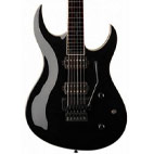 Washburn: WM24V