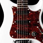 Paul Reed Smith: SE EG