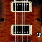 Schecter: C-1 E/A