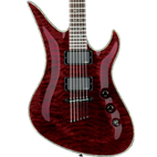 Schecter: Hellraiser Avenger FR