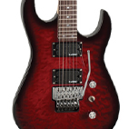 B.C. Rich: ASM Standard
