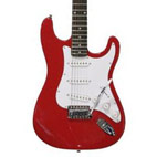 Eleca: DGT-1
