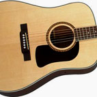 Washburn: LG1PAK