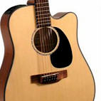 Takamine: EG345C