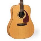 Simon & Patrick: Woodland Cedar SP6