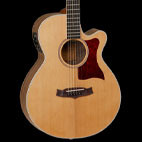 Tanglewood: TW45 W OP E