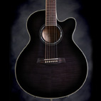Ibanez: AEL207E