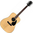 Epiphone: PR-300