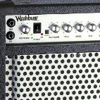 Washburn: Bad Dog 30