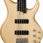Ibanez: BTB555