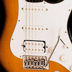 Epiphone: Fat-210