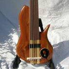 Wishbass: Custom Fretless 6
